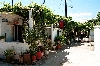 Click here to see the picture (crete060601_10_ chania_tour_tony.jpg)